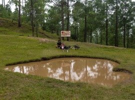 luxury resorts near delhi