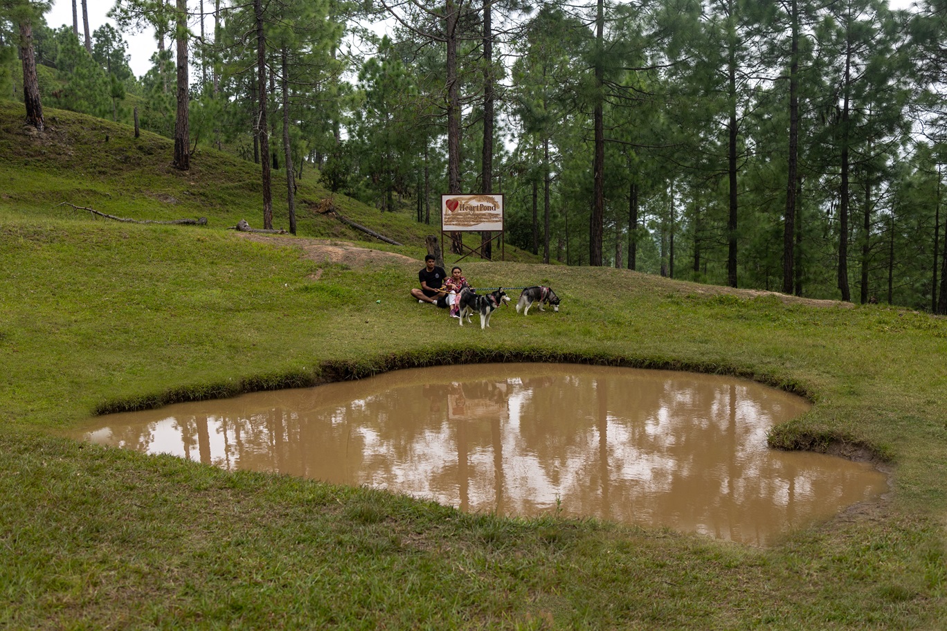 resorts near jim corbett