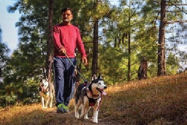 best resorts in uttarakhand for winter