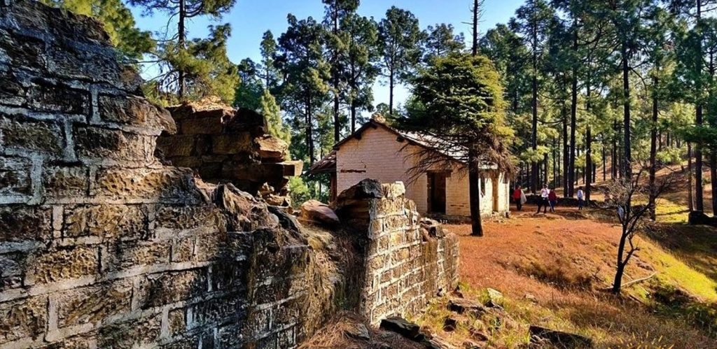 Experiences Activities in vatsyayana resort