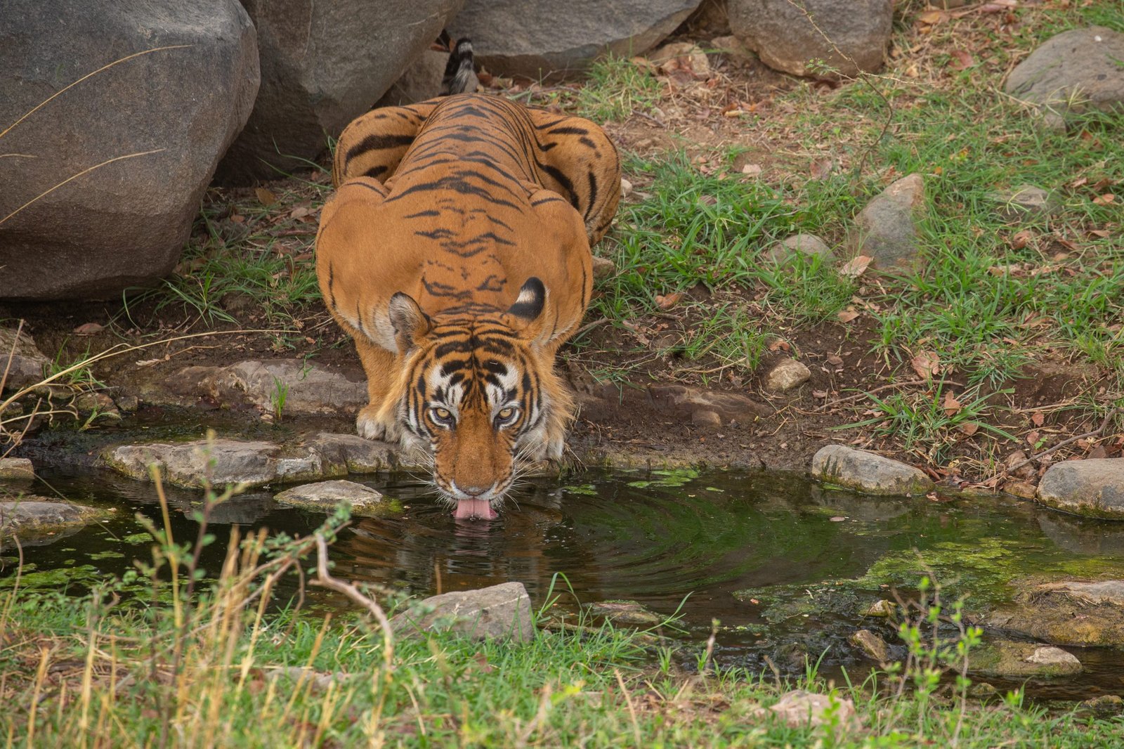 best resorts for families